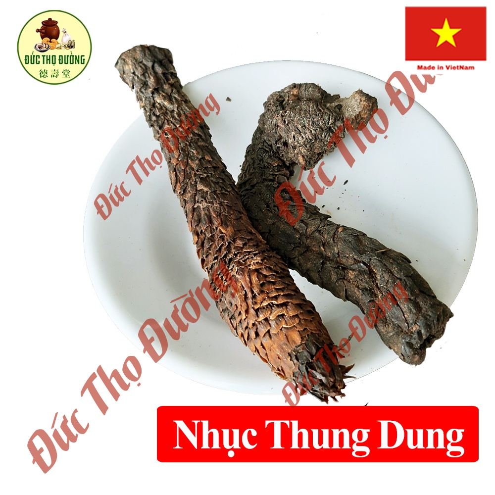 Nhục Thung Dung - Bào chế - túi 100 gam