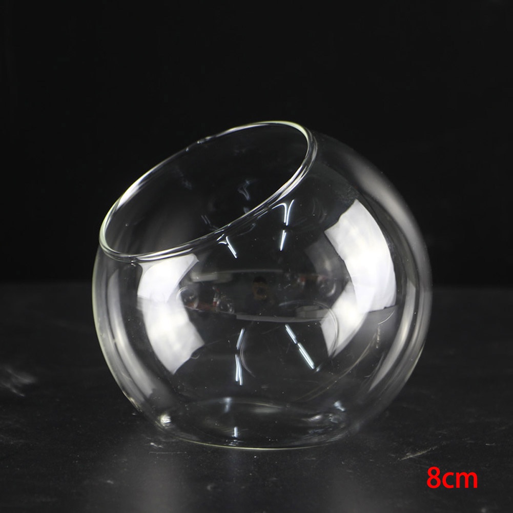 Chậu Kính Trồng Cây Mọng Nước 12cm