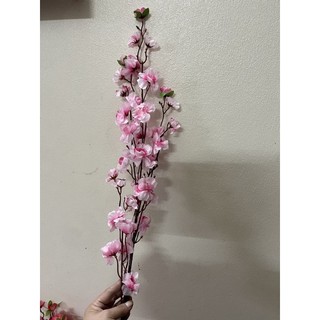 hoa a đào rẻ thanh lý