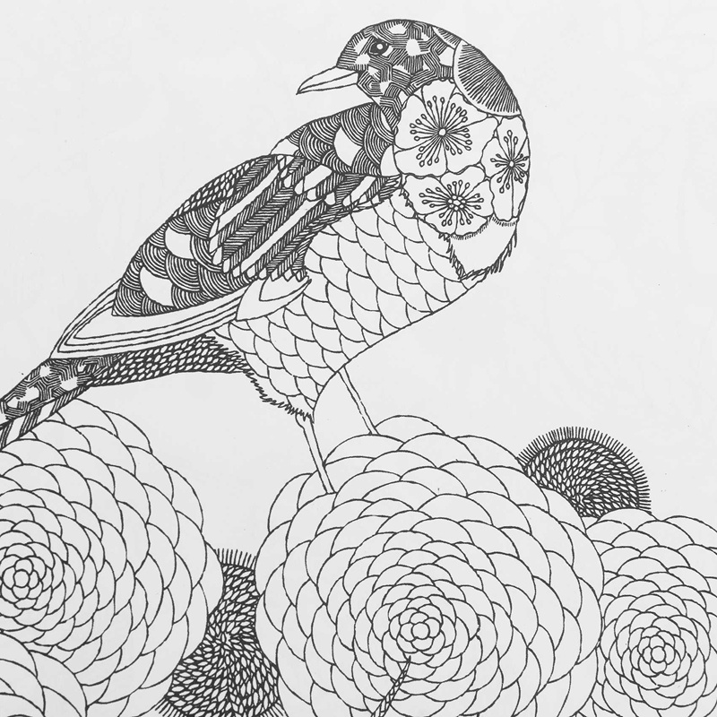 Sách Tô Màu Hình Động Vật Độc Đáo Dành Cho Trẻ Nhỏ Và Người Lớn