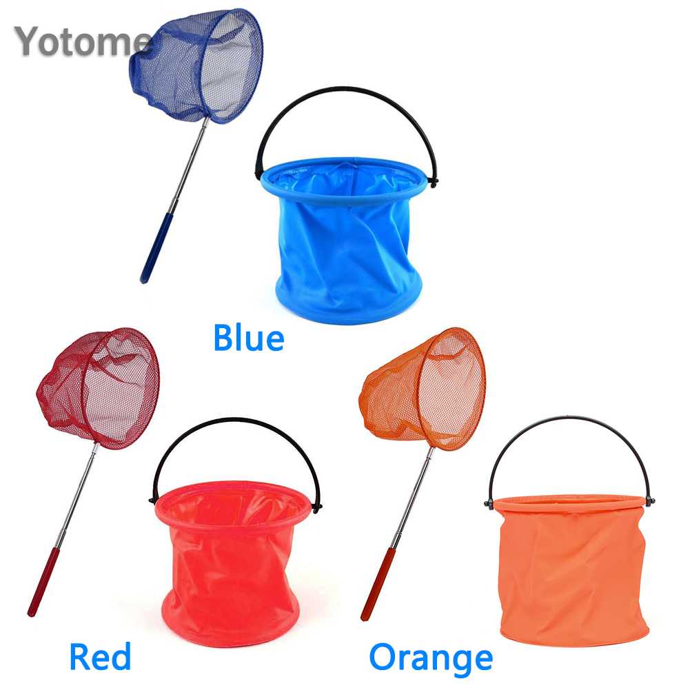 Vợt Lưới Bắt Bướm, Côn Trùng Cho Trẻ