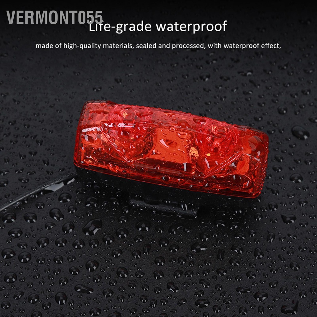 Có thể bán buôn Đuôi Xe Đạp Cảm Ứng Từ Tự Tạo Điện Họa Tiết Rằn Ri Nét Ta 016RAR Đèn Cảnh Báo Đi Vermont055 Hàng giao ngay