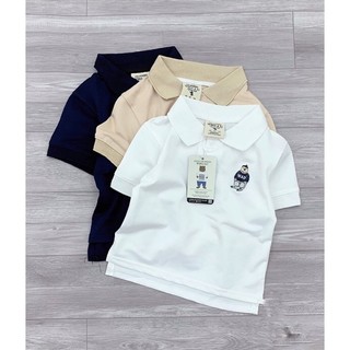 Set 3 áo polo thêu gấu trắng-be-than
