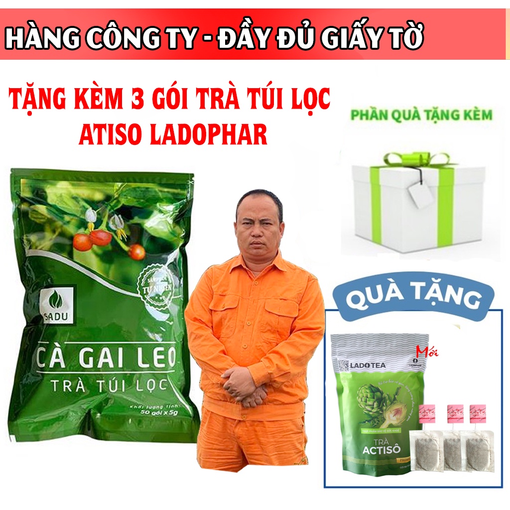 Cà gai leo, Trà túi lọc cà gai leo Sadu giúp giải độc gan, hỗ trợ thanh nhiệt mát gan 1 bịch 250g (50 túi lọc khô)