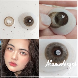 Lens nâu xám nước