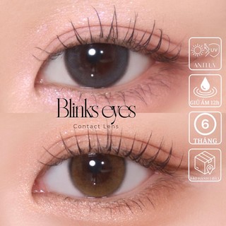 Kính Áp Tròng Lens Mắt BLINKS EYES Xám Thời Trang Lightly Rose Gray Cho Mắt Cận 0-8 Độ Dùng Trong 6 Tháng YOUNGONE