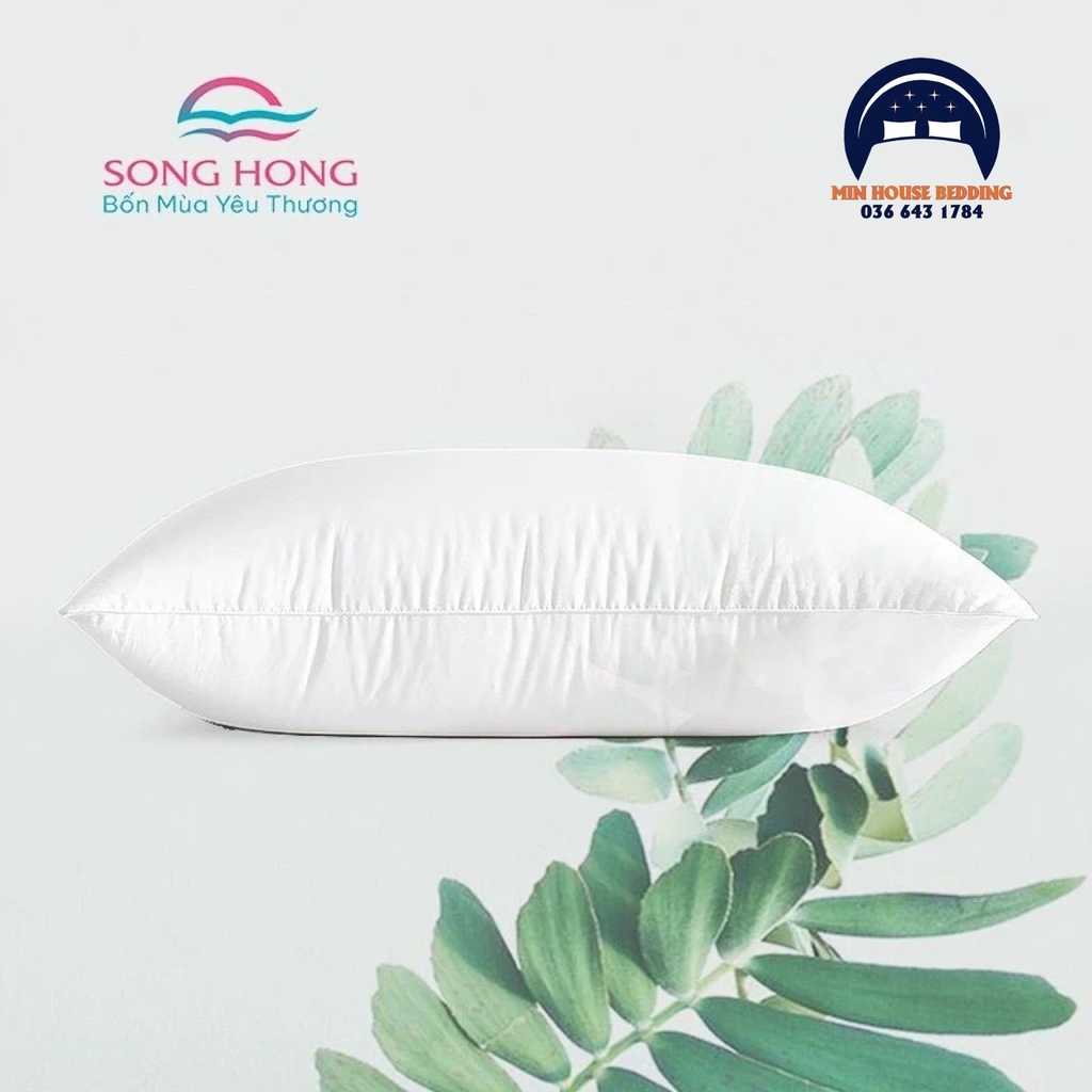 Ruột gối đầu Sông Hồng 45cm x 65cm