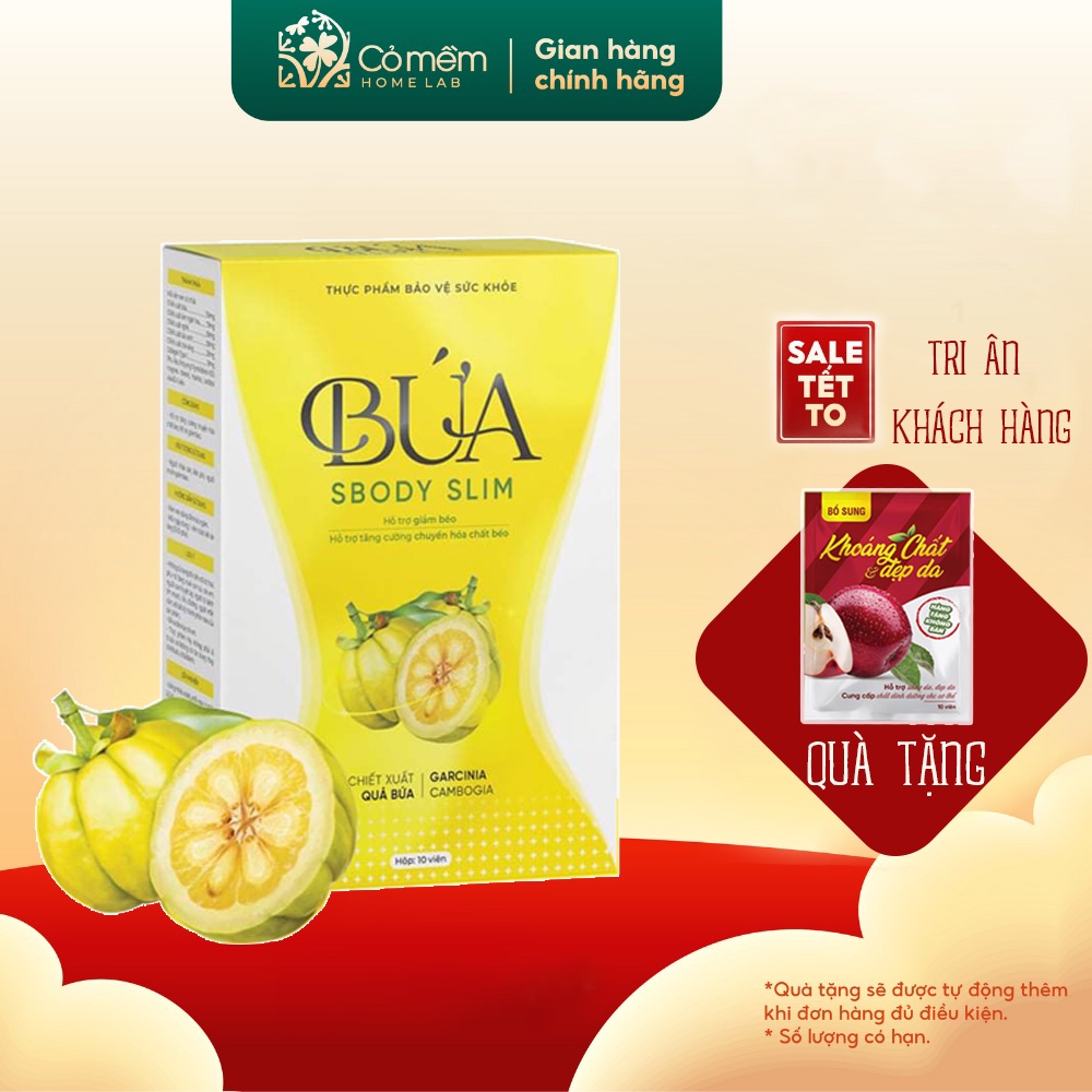 Kẹo Bứa SBODY SLIM Giảm Cân Chính Hãng 1 Hộp 10 Gói Tặng Kèm Gói Detox Khoáng Chất