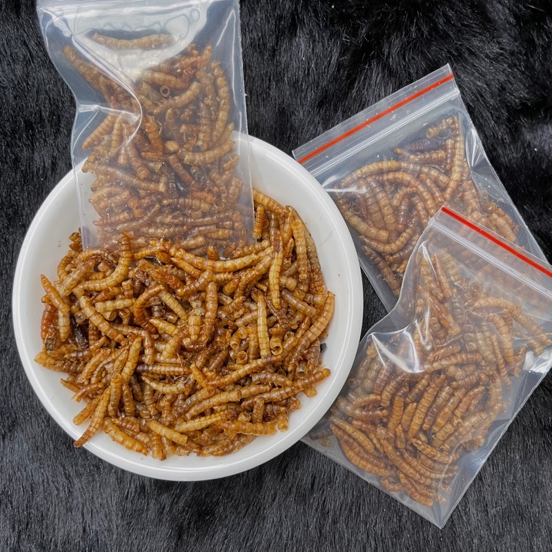 Sâu sấy khô cho hamster