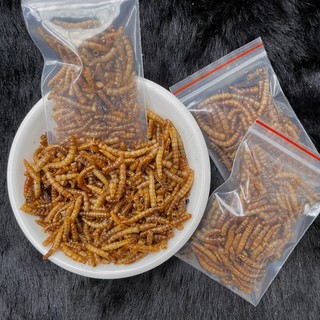 Sâu sấy khô cho hamster