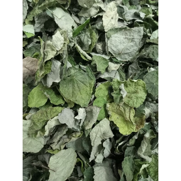 Lá sương sâm lông khô , 1kg , tặng nang mực, hút chân không