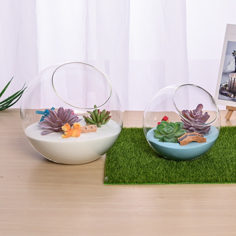 Chậu Kính Trồng Cây Mọng Nước 12cm