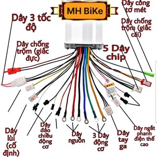Ic điều tốc, điều khiển xe điện đa năng