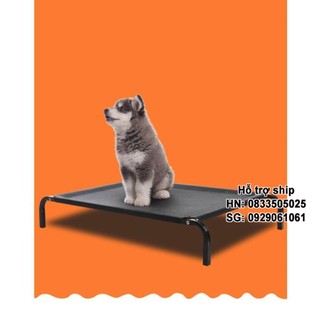 Giường chó mèo khung sắt chịu lục có thể gấp gọn loại có lưới thông thoáng cho chó mèo và các loại thú cưng