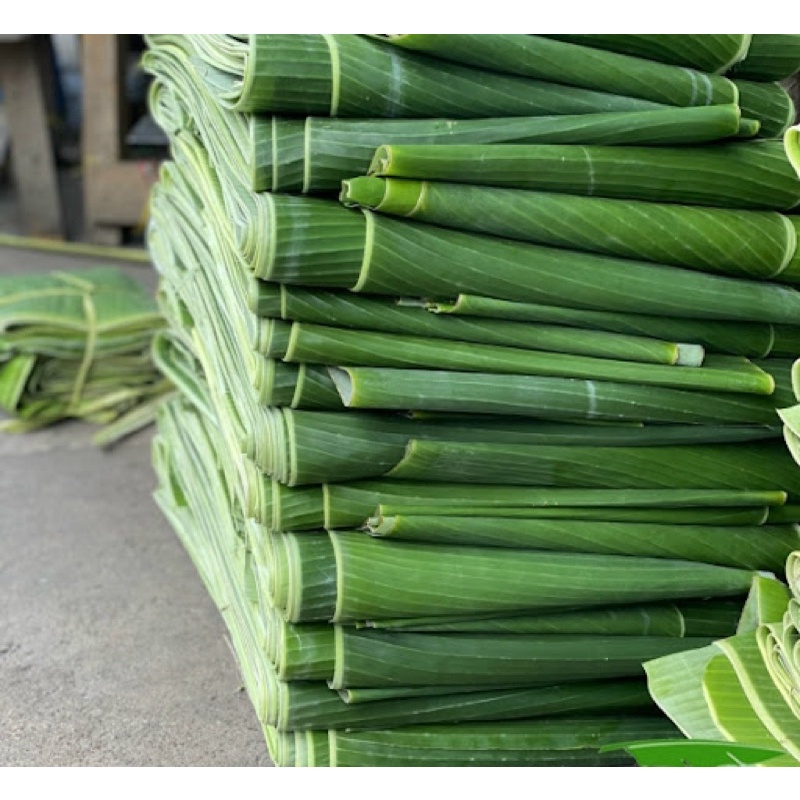 1kg Lá Chuối Tươi (Hàng Mới Cắt Giao Trong Ngày)