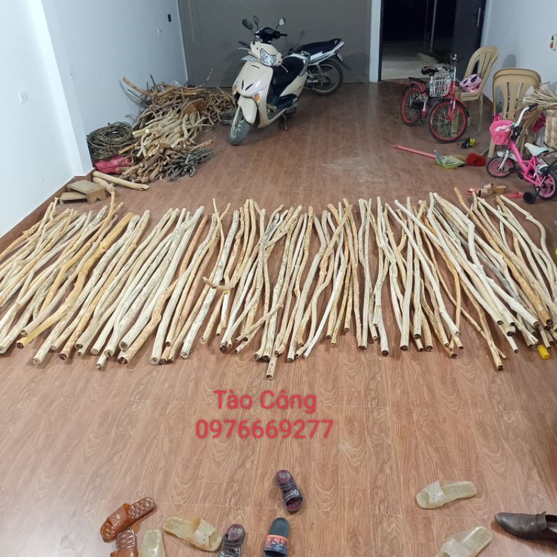 Cây gỗ thẳng tự nhiên dùng để trang trí, decor dài 200cm