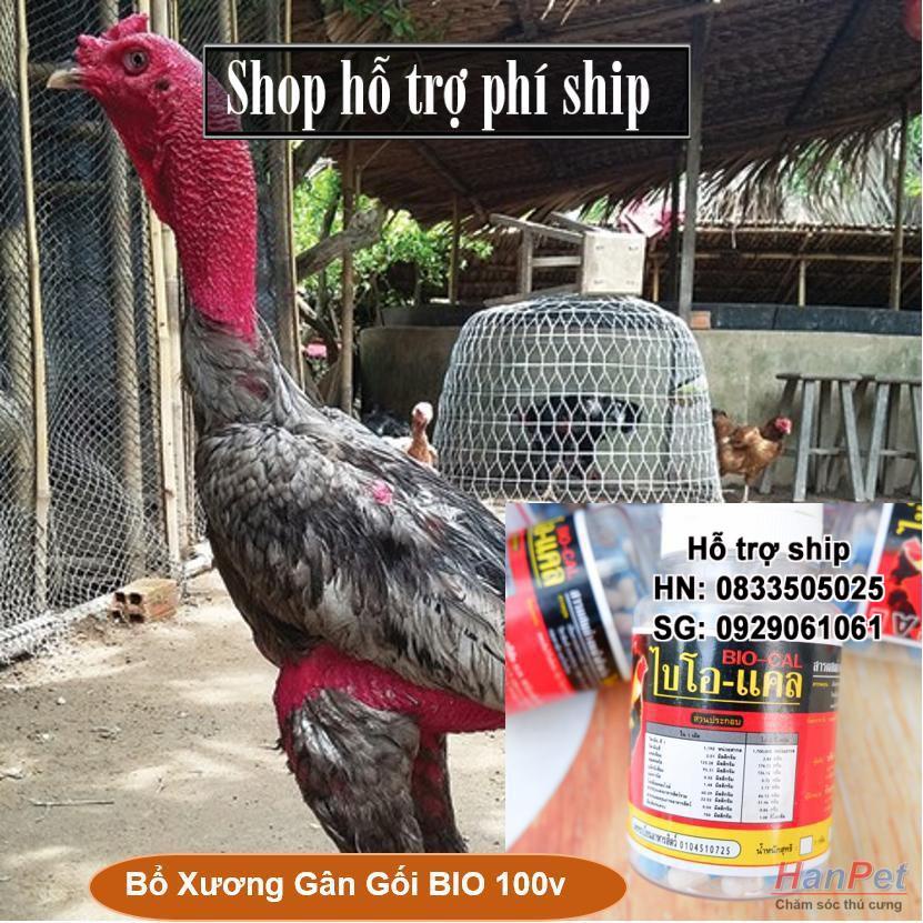 Hỗ trợ Ship- - (Lọ 100 viên) Bổ Xương Gân Gối BIO MADE IN THAILAND dạng viên nhộng UỐNG - Can xi gà đá /