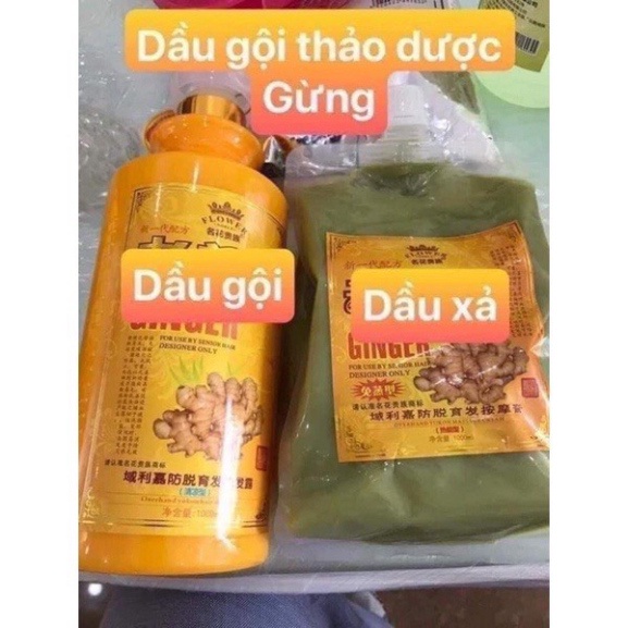 Dầu Gội Gừng Nóng Lạnh Cặp 1000ml Ngăn Ngăn Rụng Tóc Dầu Gội Dưỡng Sinh Liu Thông Khí Huyết Cải Thiện Đau Đầu Mất Ngủ