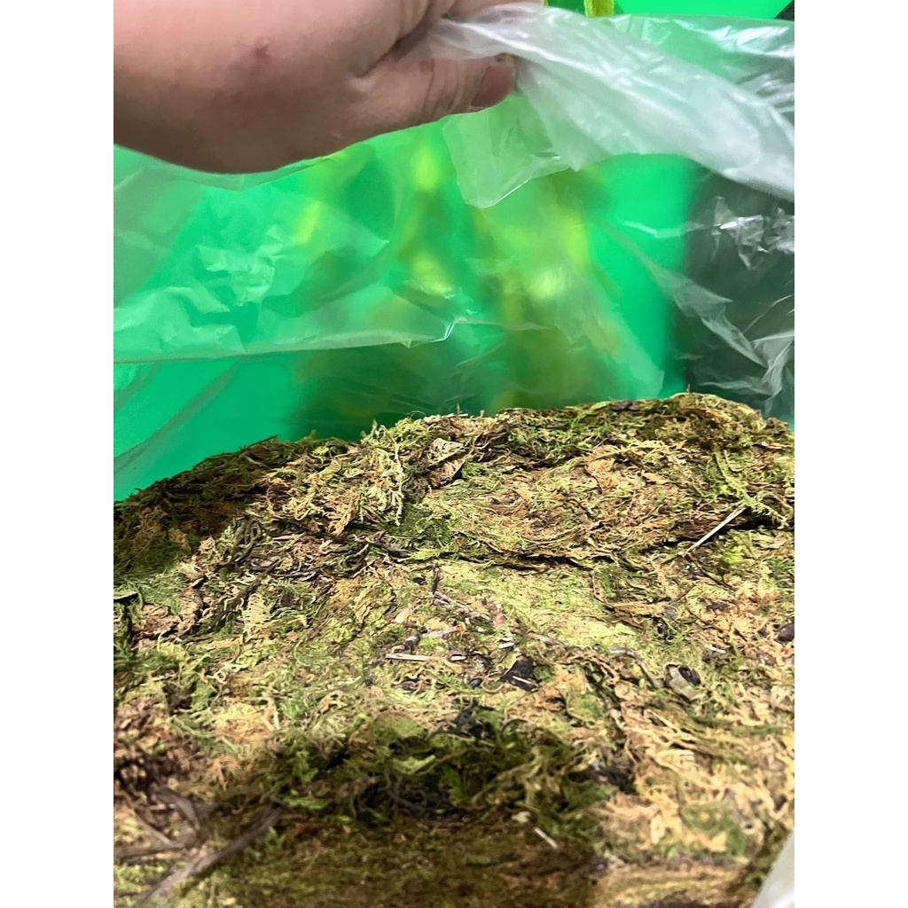 Rêu rừng khô (2kg) giúp giữ ẩm dành cho hoa lan hoa kiểng