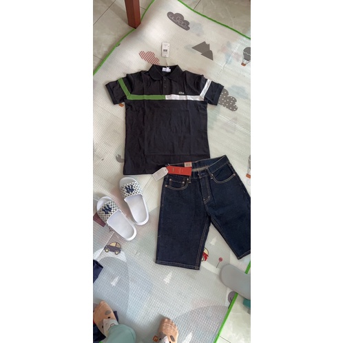 Áo polo cá sấu chính hãng từ 50-90kg