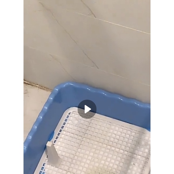 Khay vệ sinh cho chó Poddle - Loại Trung