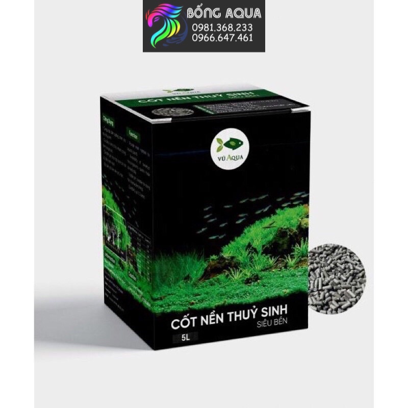 CỐT NỀN THUỶ SINH – VŨ AQUA