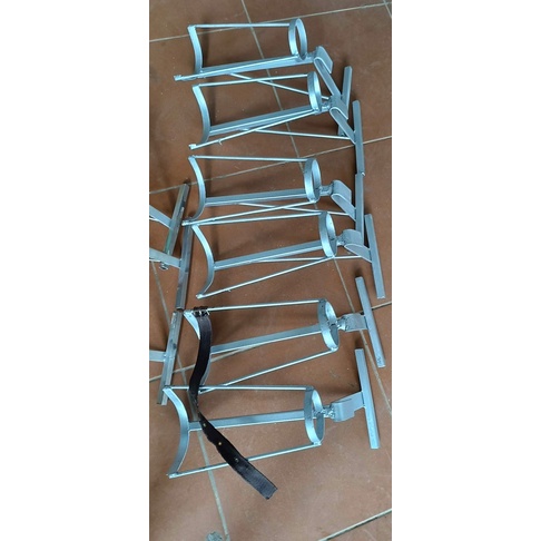 Giá thiến heo con