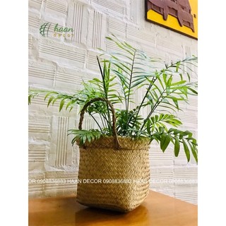 Sọt cói, giỏ cói vuông để quần áo, gấu bông đồ chơi, để chậu cây trang trí