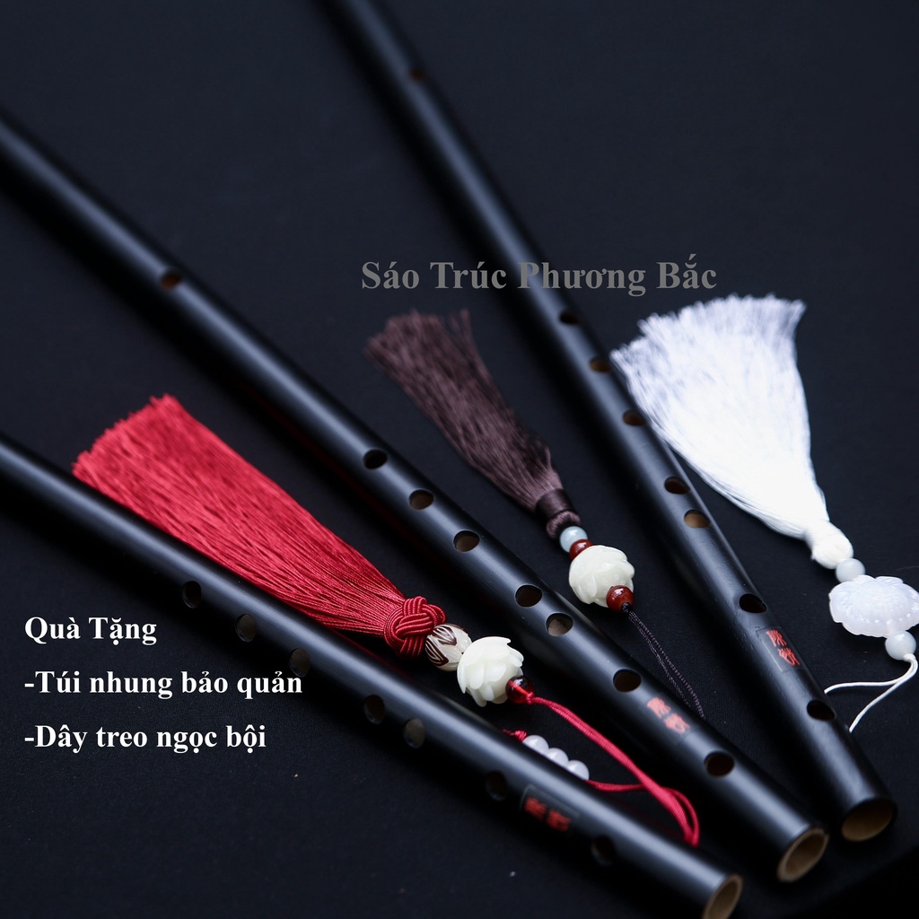 Sáo trúc trần tình, sáo trúc chuẩn âm cho người mới tập | Sáo trúc Việt Nam