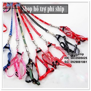 Hỗ trợ Ship- Dây dắt chó mèo + dây yếm đai yên ngựa nhỏ xinh cho chó mèo dưới 5kg (sunzin 342)