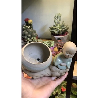 các mẫu chậu trồng cây