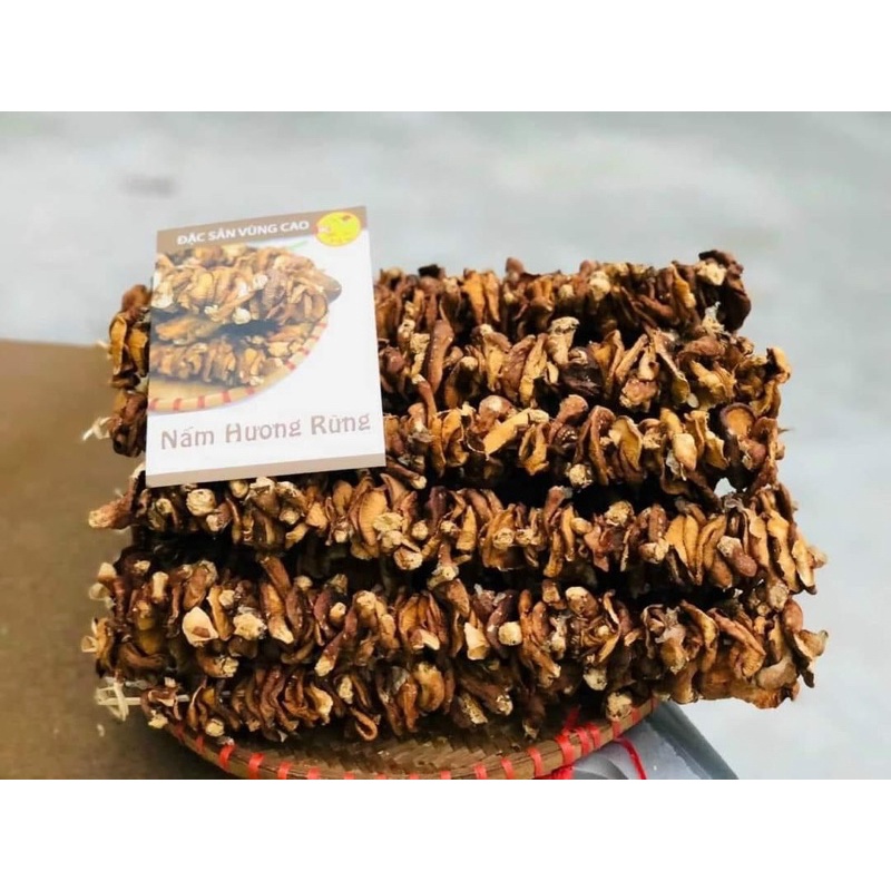 Nấm Hương Rừng Khô Lai Châu Túi 500G Thơm, Ngon Giàu Dinh Dưỡng, Đặc Sản Tây Bắc