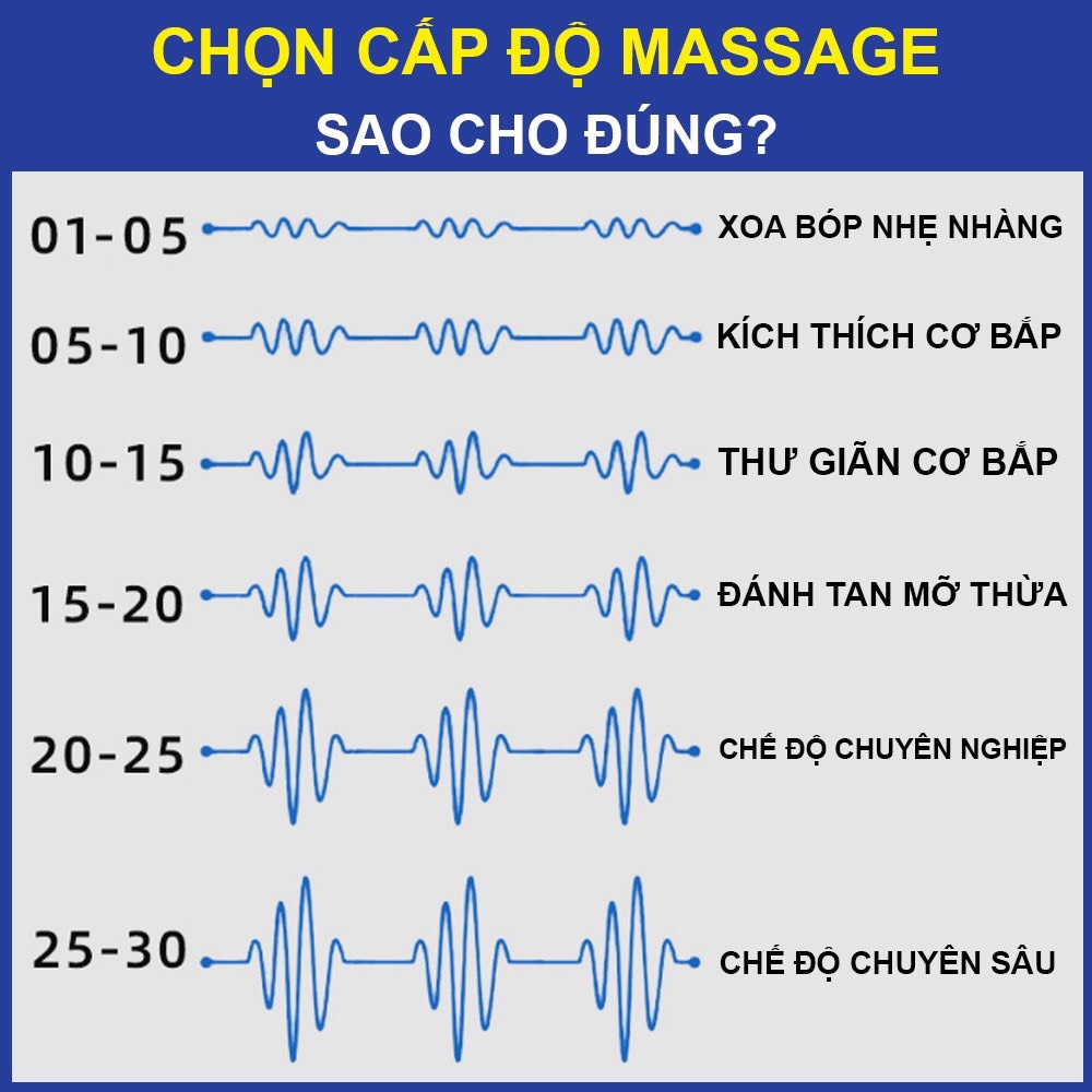 Máy Massage cầm tay VSCN EURO 6 đầu 30 cấp độ trị đau nhức toàn thân, vật lý trị liệu.