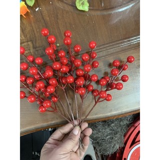 Nhánh đào đông nhỏ