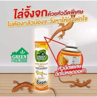 XỊT ĐUỔI THẰN LẰN