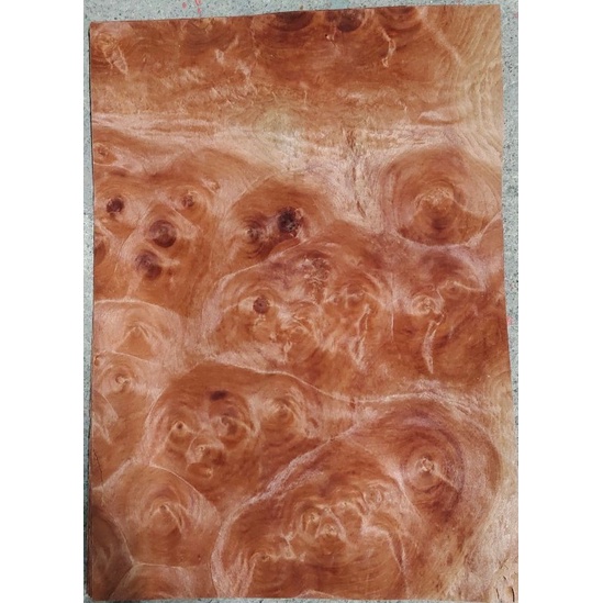 Ván lạng veneer Nurl Thông đỏ QC 0.6x220x310mm làm đồ trang trí, handmade, dán thùng loa.