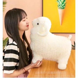 Thú nhồi bông - Cừu trắng size đại to, siêu trắng mịn đẹp