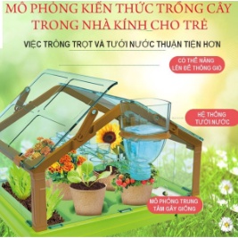 Bộ trò chơi trồng cây trong nhà kính mini giúp bé quan sát sự phát triển của cây xanh, thí nghiệm sinh học thú vị cho bé