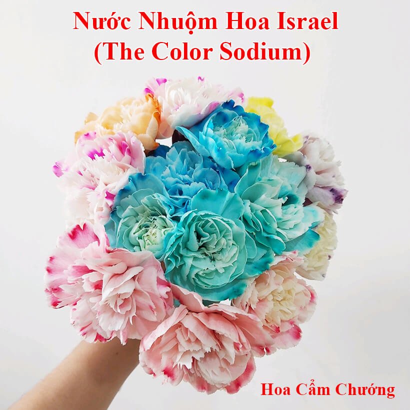 Thuốc nhuộm hoa tươi, màu nhuộm hoa chai 100MLđổi màu theo công nghê Israel, nước nhuộm hoa tươi lên chuẩn màu, tươi hoa