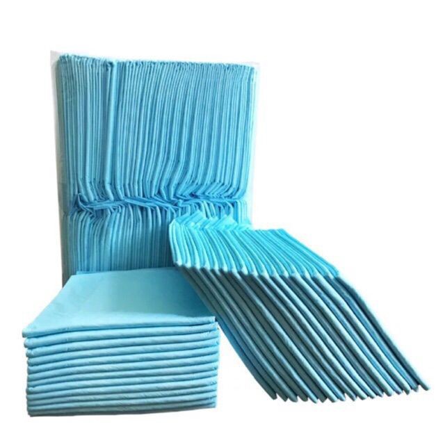 Tã Lót Chuồng Cho Thú Cưng ♥️ FreeShip ♥️ Tả giấy Lót Siêu Thấm Hút Cho Chó Mèo hanpet