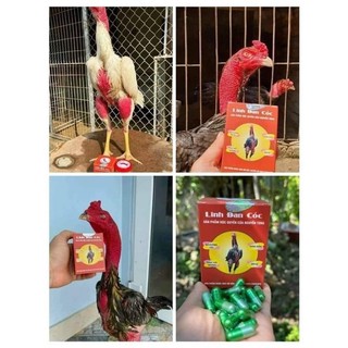 Linh đan cóc 120vien(tặng áo gà,bịt mỏ)