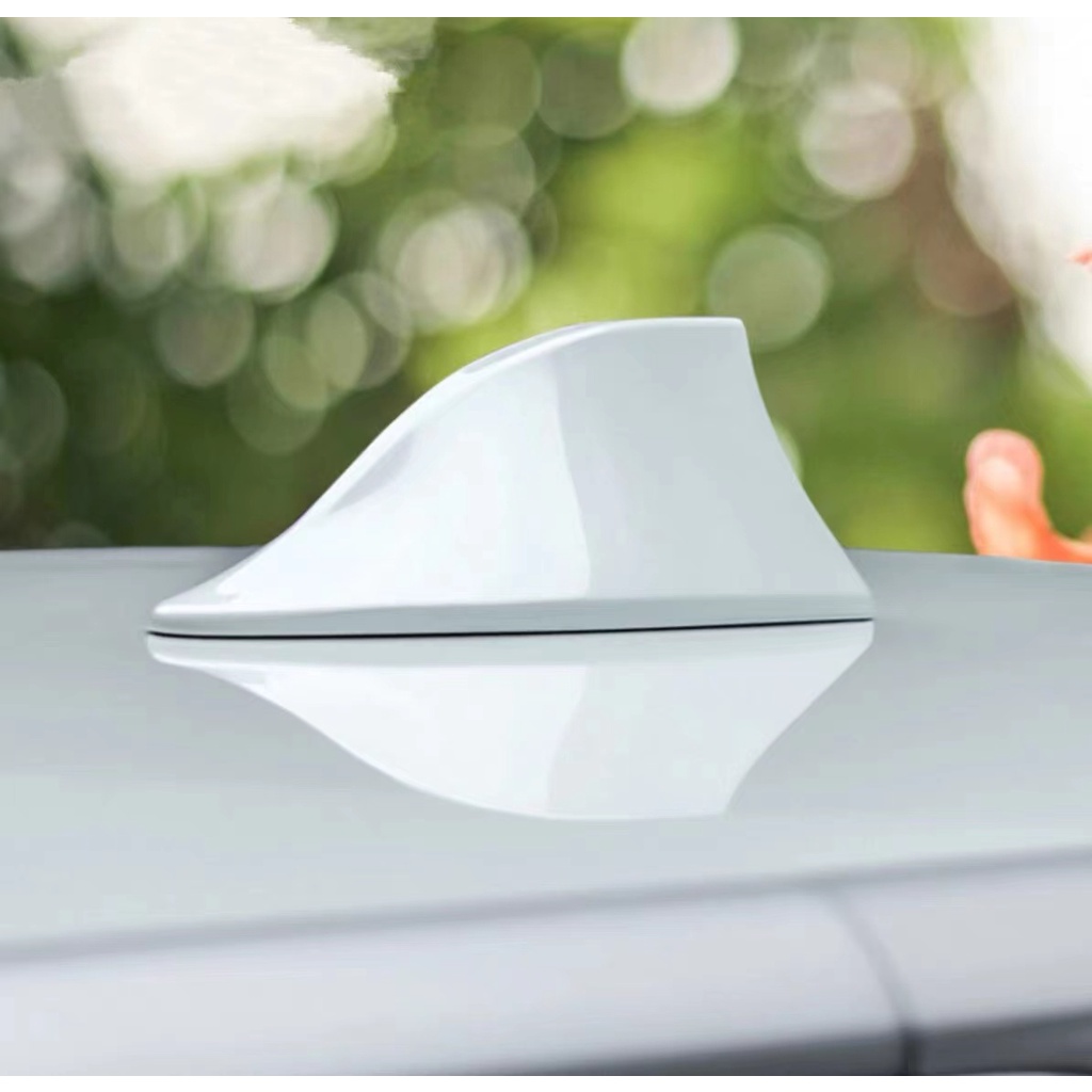 Ăng Ten Tín Hiệu Radio Gắn Nóc Xe Hơi Trang Trí