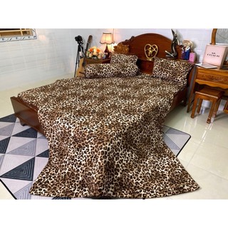 Trọn bộ mền thun hàn quốc 5 món