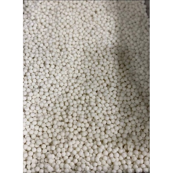 Trân châu cơm cốt dừa