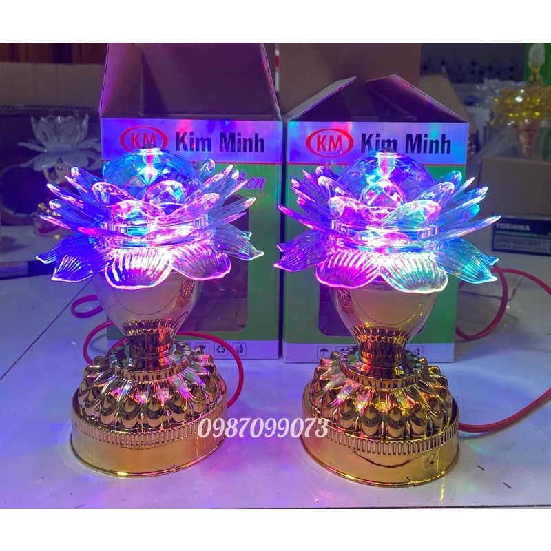 Đèn led hoa sen xoay đủ màu giá bán /1 cái
