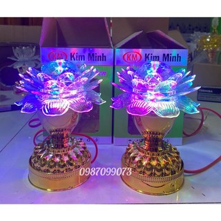 Đèn led hoa sen xoay đủ màu giá bán /1 cái