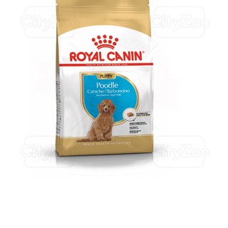 Thức ăn cho chó Royal Canin Poodle Puppy bao 1.5kg, hạt cho chó Poode dưới 10 tháng tuổi