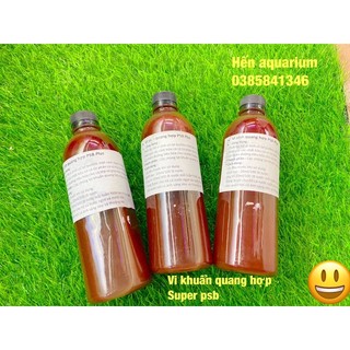 Vi khuẩn quang hợp super PSB plus : làm trong nước siêu tốc và hỗ trợ phân huỷ chất bẩn