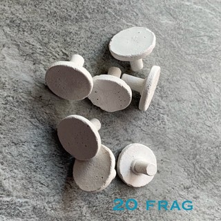 Đế Frag san hô
