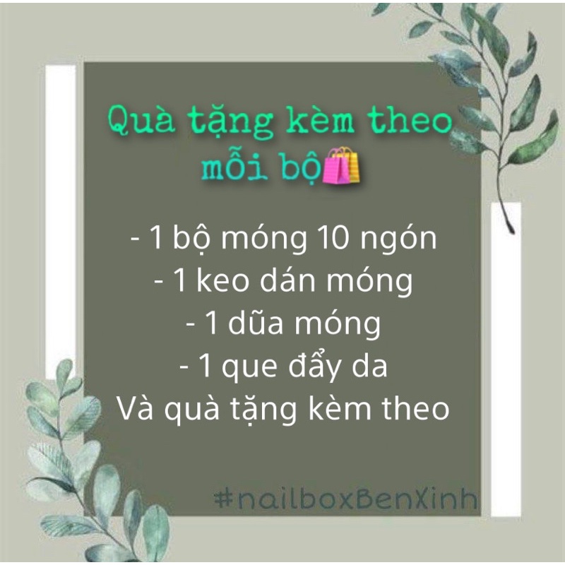 Nailbox thiết kế chân đính đá sang chảnh - tặng full dụng cụ - size và form móng ib